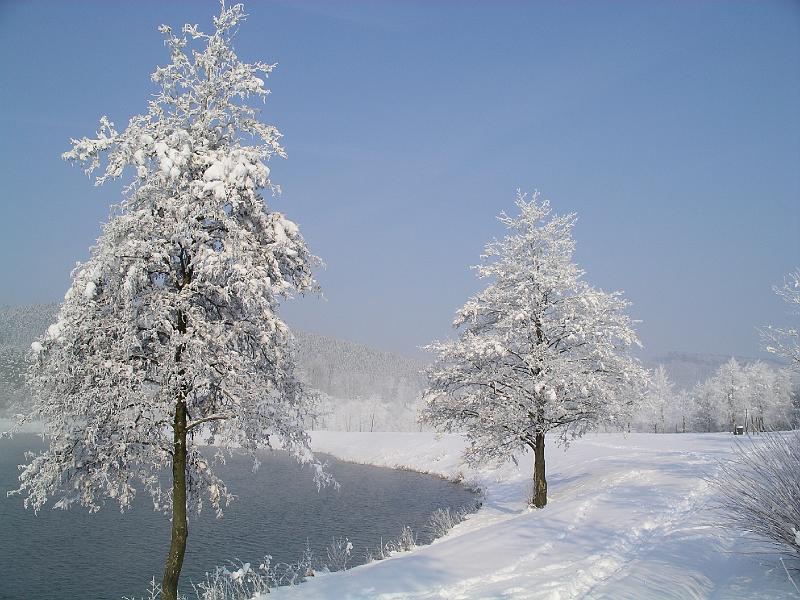 Winter 68.jpg